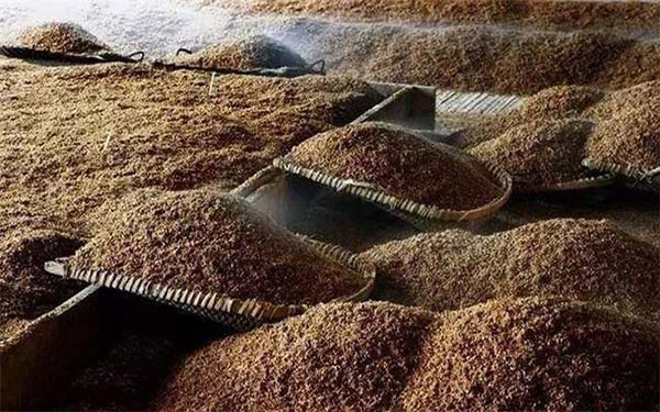 啤酒糟烘干機(jī)價格多少錢